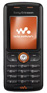 Sony Ericsson W200i