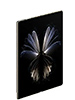 <h6>Tecno Phantom V Fold Price in Pakistan and specifications</h6>