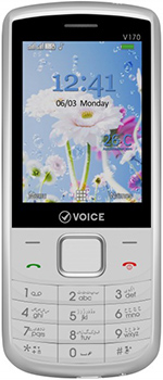 Voice V170 Price in Pakistan